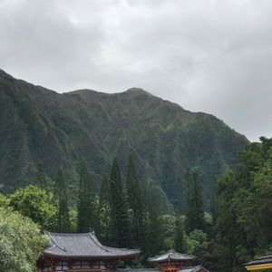 Meet your Posher, Safa